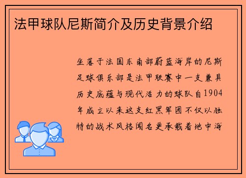法甲球队尼斯简介及历史背景介绍